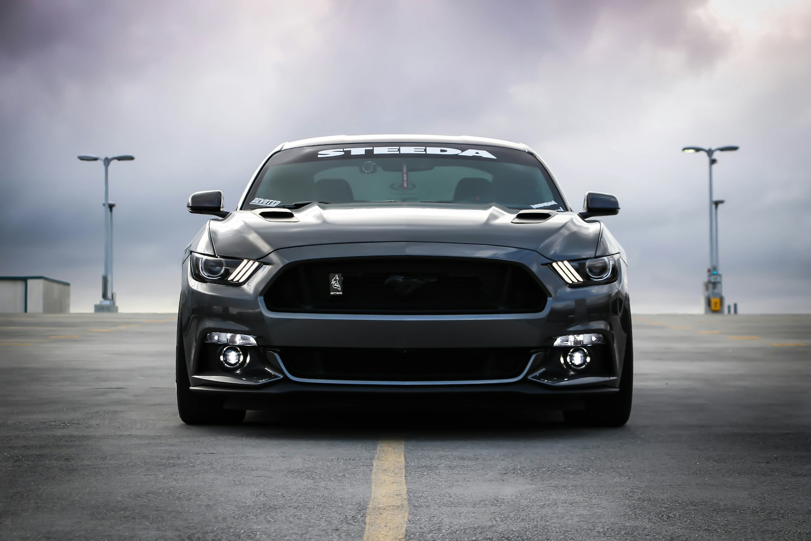 auto insurance black Shelby car on road