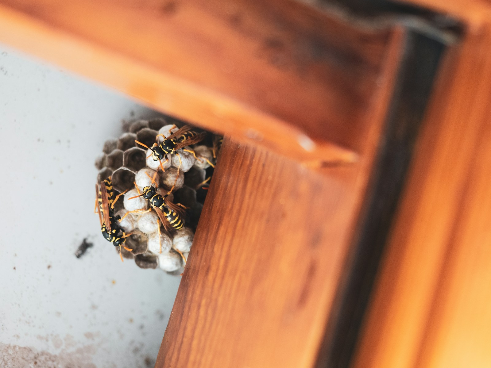 silver and black beads on brown wooden drawer, home